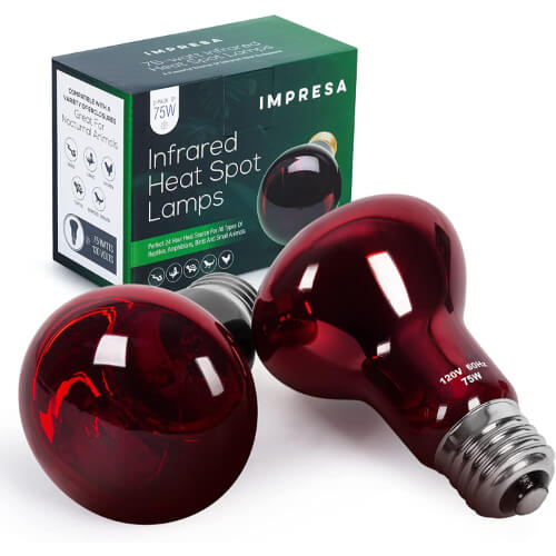 infrared light bulbs