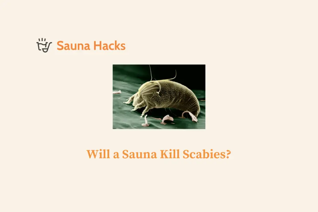 Will a Sauna Kill Scabies