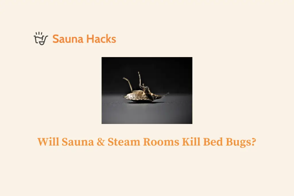 Will Sauna & Steam Rooms Kill Bed Bugs